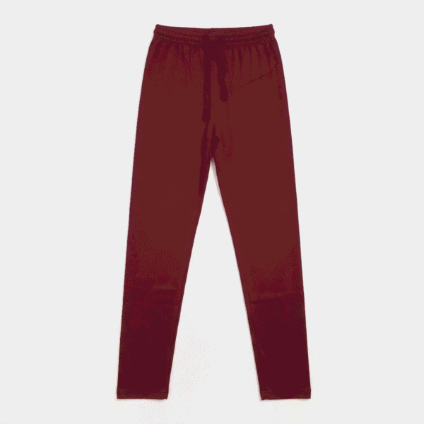 Women's Maroon Solid Viscose Leggings - Size XXL